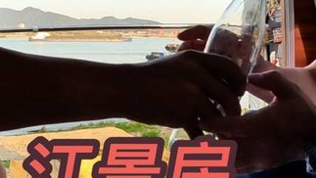 坐在车里望着长江，哥俩又开始了#穷游 #露营美食