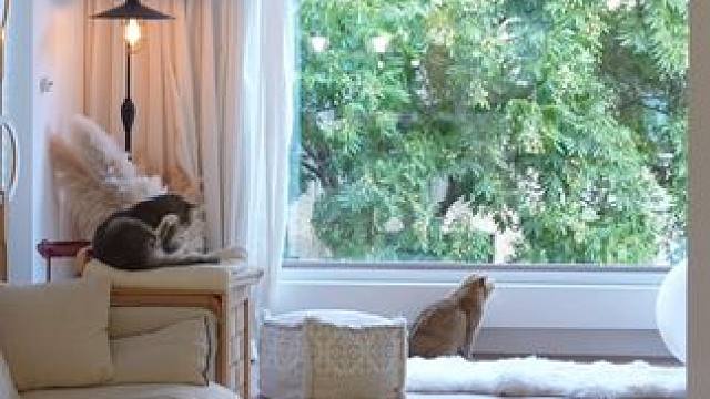 家的一年四季，是小猫在追的窗景连续剧 #治愈系 #家居生活 #这是属于