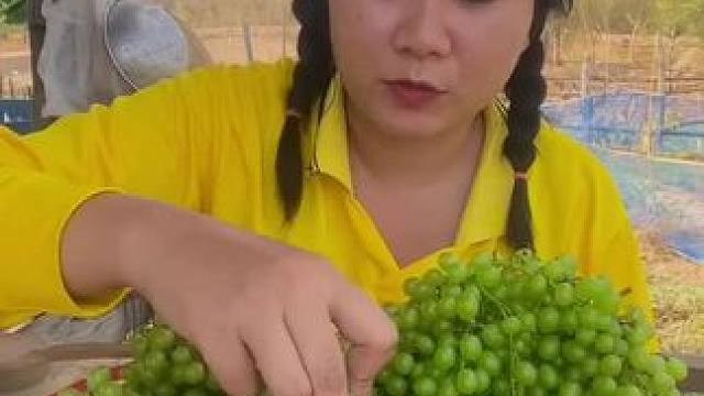 酸野生葡萄 #野生葡萄 #农村美食记录生活 #我的农村生活 #东南亚美食 #田园生活乐趣多