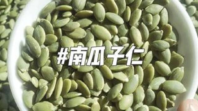 成熟的南瓜不吃，非要扎破碾碎当肥料，到这并非暴殄天物#南瓜子 #南瓜子仁 #新疆阿勒泰南瓜子仁