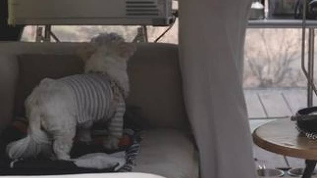 【无限露营】小姐姐野外露营 #露营