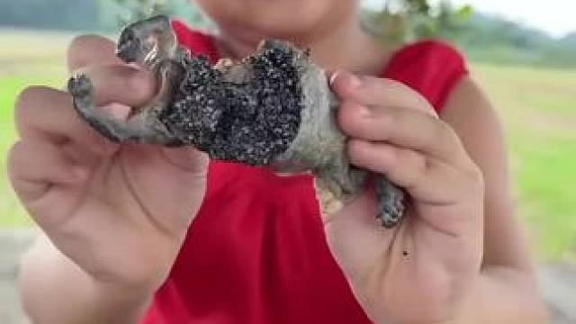 我发布了一个新视频，快来围观吧！