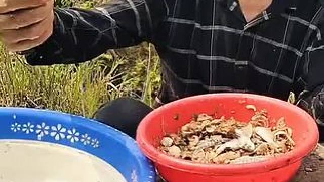 越南特色美食 #越南美食#东南亚美食 #越南鱼生