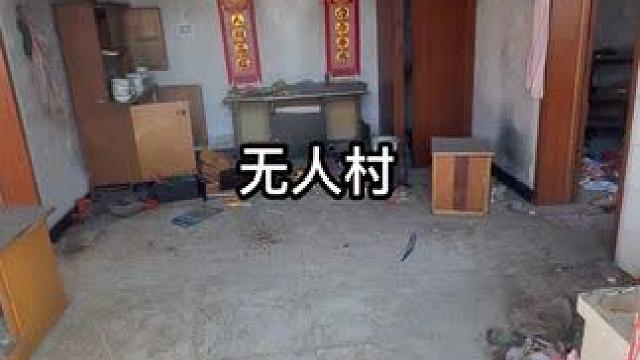 #无人村 #宇小宇户外