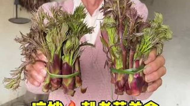 农村美食 凉拌刺老芽美食 #美食 #野菜 #刺老芽 #记录我的农村生活 #支持三农扶持三农发展