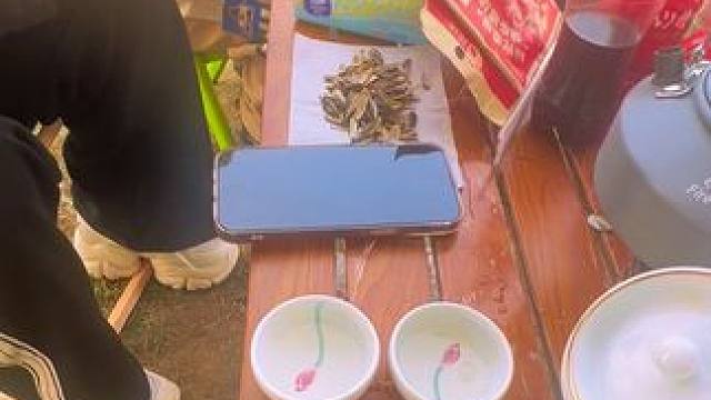 #河滩玩水好去处 正是春风微醺时……