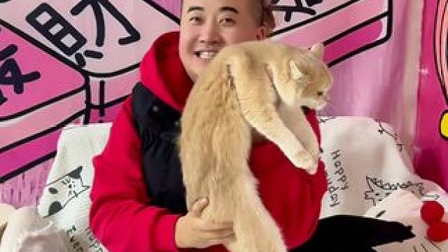 #撸猫#胶南#晓瑜撸猫 #团购优惠 #新店开业