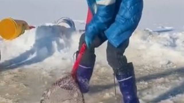 #户外捕鱼 #好多鱼