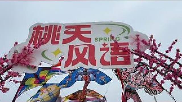 快来始建欣赏桃花带来的美。#带娃出游攻略 #赏花春游好去处 #dou来休息一下 #春游必打卡景点盘点