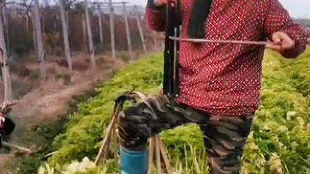 我发布了一个新视频，快来围观吧！