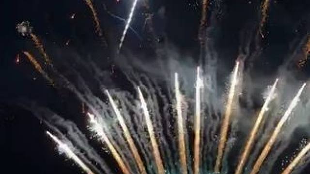 坏了！这个我是真想去#长隆虎鲸大家族  #被虎鲸音乐节治愈的瞬间  #珠海长隆飞船乐园