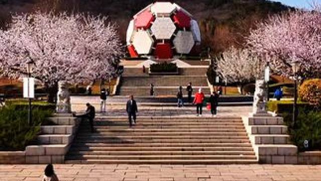 #阳春三月春暖花开 #花期已至美好如初