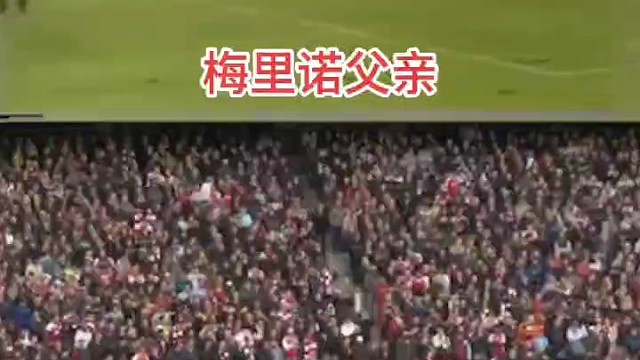 独门秘籍 梅家枪法