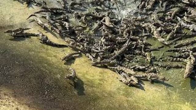 我发布了一个新视频，快来围观吧！