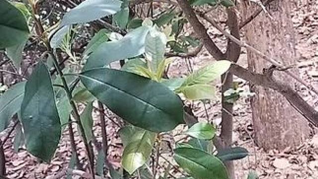 我发布了一个新视频，快来围观吧！