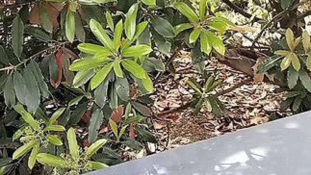 我发布了一个新视频，快来围观吧！