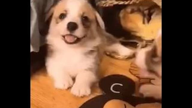 我们中国球迷就是这样一群好玩又热心的球场好搭子#论热情还得是中国球迷