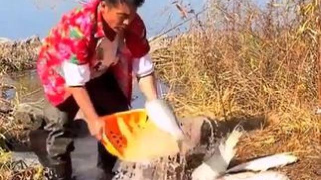 #户外捕鱼 #好多鱼