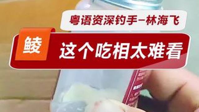 这个吃相太难看 最近鲮鱼实战出现的问题分析