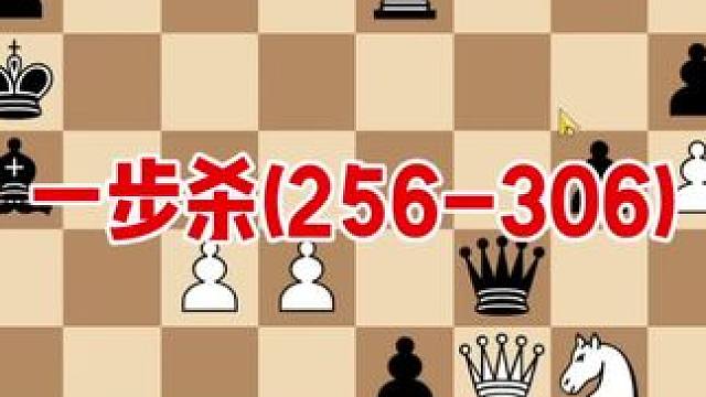国际象棋一步杀(256-306)