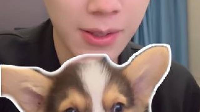 今天 我要官宣一下 #电影我会好好的