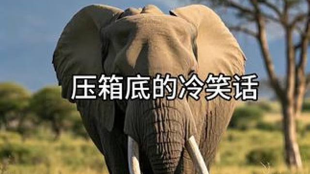 每天一个冷笑话#幽默段子 #冷笑话 #十万个冷笑话