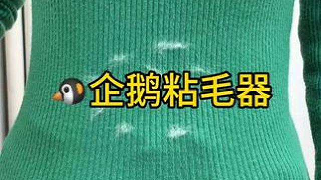 神奇的粘毛器 神奇的粘毛器!不仅能轻松清理头发和猫猫狗狗掉落的毛发，水一冲就干净能继续用了 #粘毛神