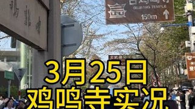 今日鸡鸣寺樱花实况3月25日 依旧人山人海 人比花多 南京加油我也加油#南京 #鸡鸣寺樱花 #把生活