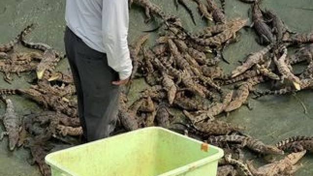 我发布了一个新视频，快来围观吧！