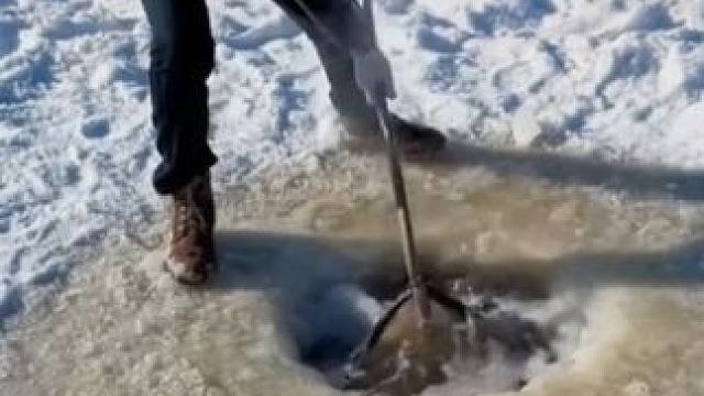 #户外捕鱼 #好多鱼