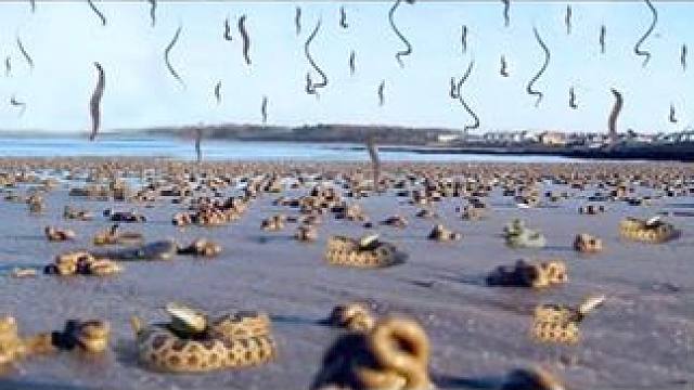 天上掉下的10个惊奇事件（1） 