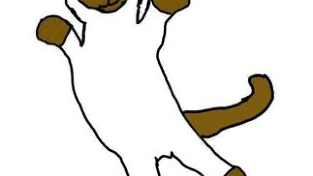 暹罗猫有多离谱 #猫meme #猫咪 #傻猫 #当它们组合在一起