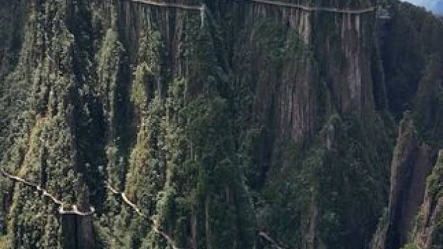 友情提示：恐高的朋友最好不要一个人来这座山！#一座不用爬的山 #莽山五指峰景区 #航拍莽山