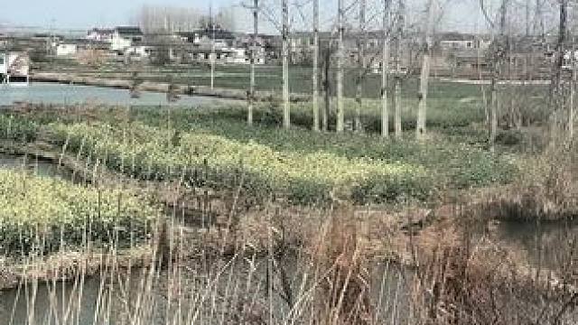 糖果糖果是唐果。 #配音#粉丝投稿#唐果#世界上最爱我的人 #小说