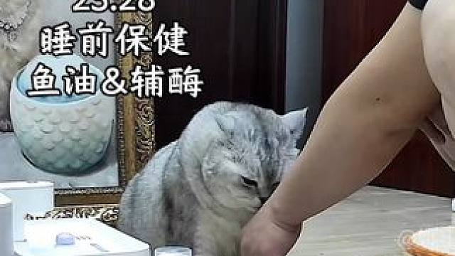 保健+吃好喝好睡好拉好+锻炼身体+爱喝水 #猫咪每天都在忙什么 #猫届超自律生活记录 #这小猫谁养谁