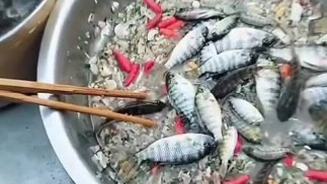 越南特色美食吃鱼生啦 #我的农村生活 #农村美食记录生活 #舌尖上的味道 #把家乡的味道分享给大家 