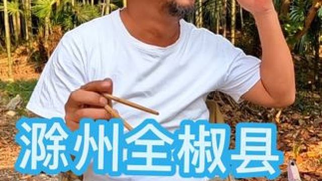 安徽滁州全椒县，沙和尚在森林公园吃鸡汤面#穷游
