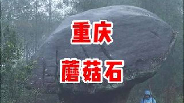 重庆丰都第一奇石，重达89.65吨，远看像一颗巨型灵芝，俯瞰又似一个乌龟壳，专家也无法解释是怎样形成