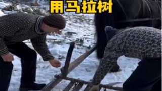 這種運(yùn)貨物的方式是真不錯(cuò)