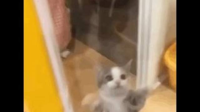 东西已经下好，就差车了！#智能系统 #车  #内容过于真实