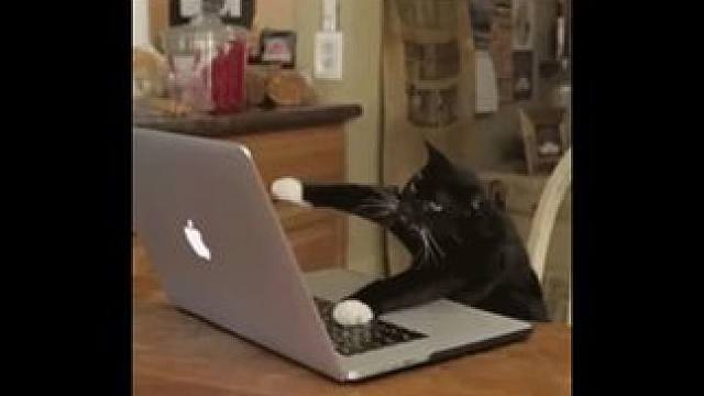 打工人有自己的去班味公式 上班暂停我将实践！#晒一晒秒去班味儿的好东西  #防晒无死角大作战  #追