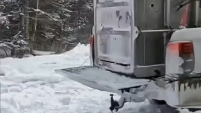 放虎归山了[赞]