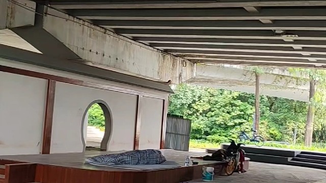 中国普通人活得比牛马还累
每天12个小时干活比机器还快