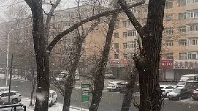 又一次开春失败#开春失败