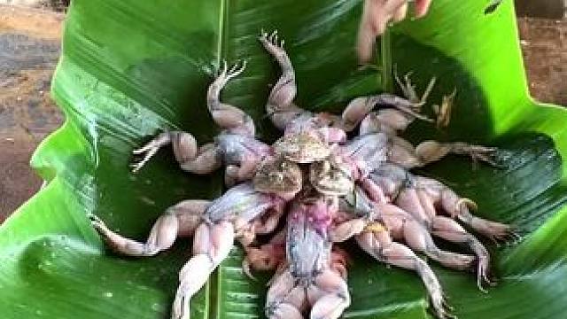 东南亚特色美食 #东南亚美食#舌尖上的味道 #内容启发搜索 #我的农村生活 #把家乡的味道分享给大家