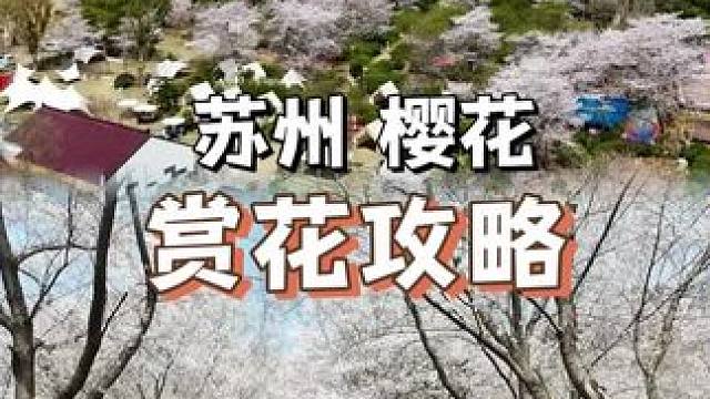 苏州春日赏花攻略 #春日机位大赛 #春游季 #春日赏花 #春日花游记 #春日赏花好去处
