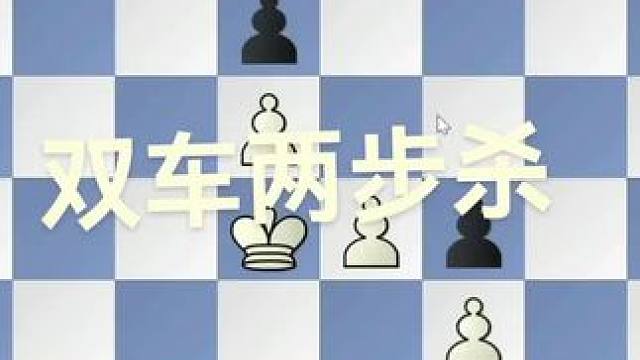 国际象棋双车两步杀