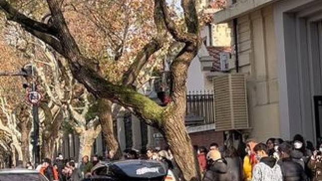 第一次见装行李箱的兰博，貌似还是全碳的，确实挺帅，估计路边的游客应该也是第一次见。#把生活调回春天频