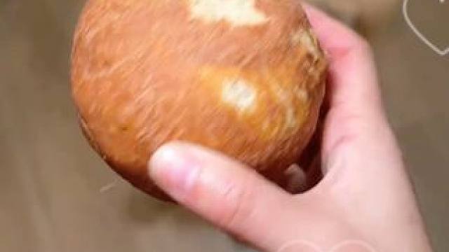 #萌宠好物  #狗狗新年礼物  #狗零食  #牙棒