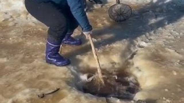 #户外捕鱼 #好多鱼